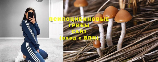 прущие крисы Верея